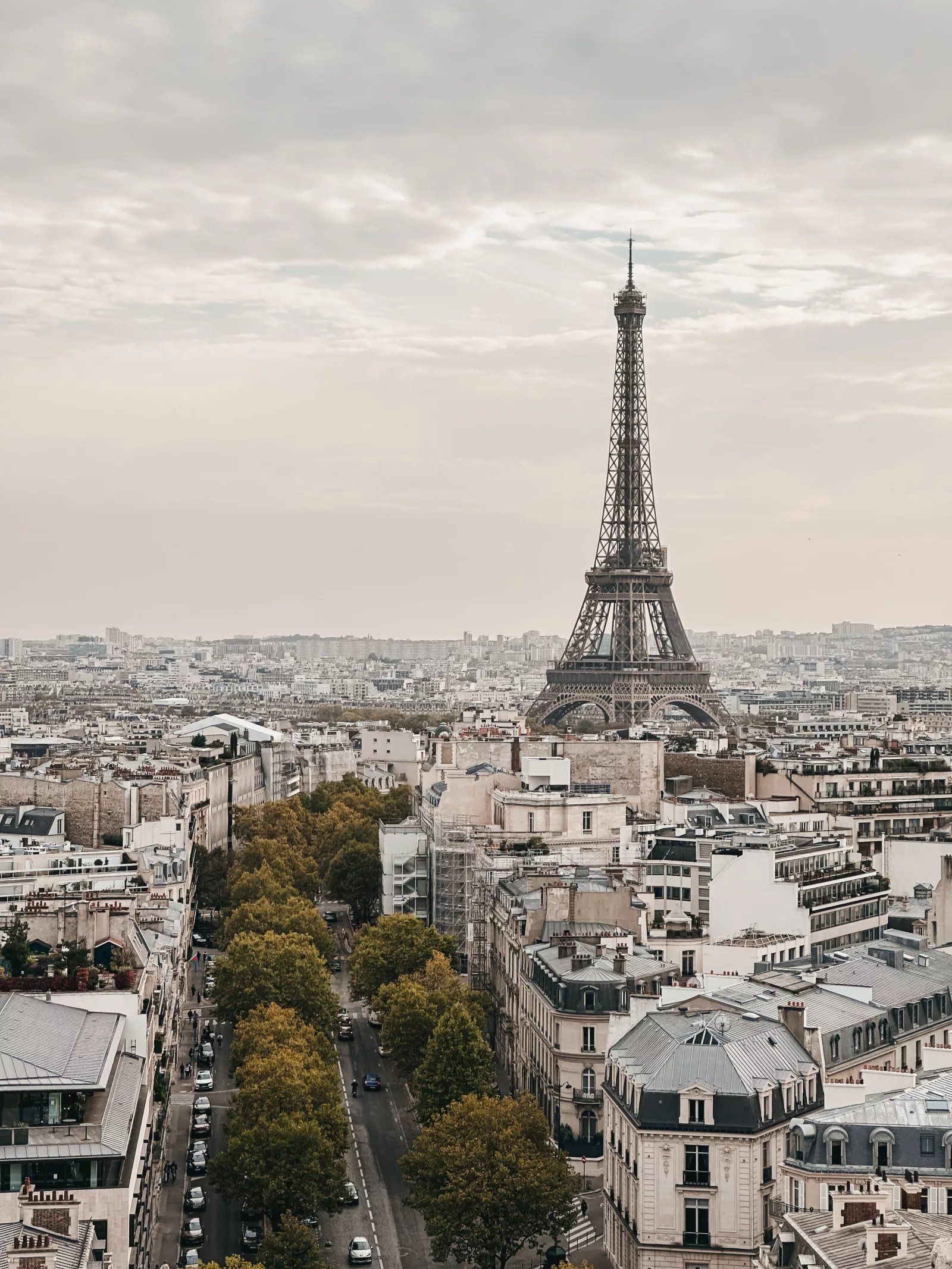 🗼 사가의 에펠탑(사가노 에펠타워) 이미지 10